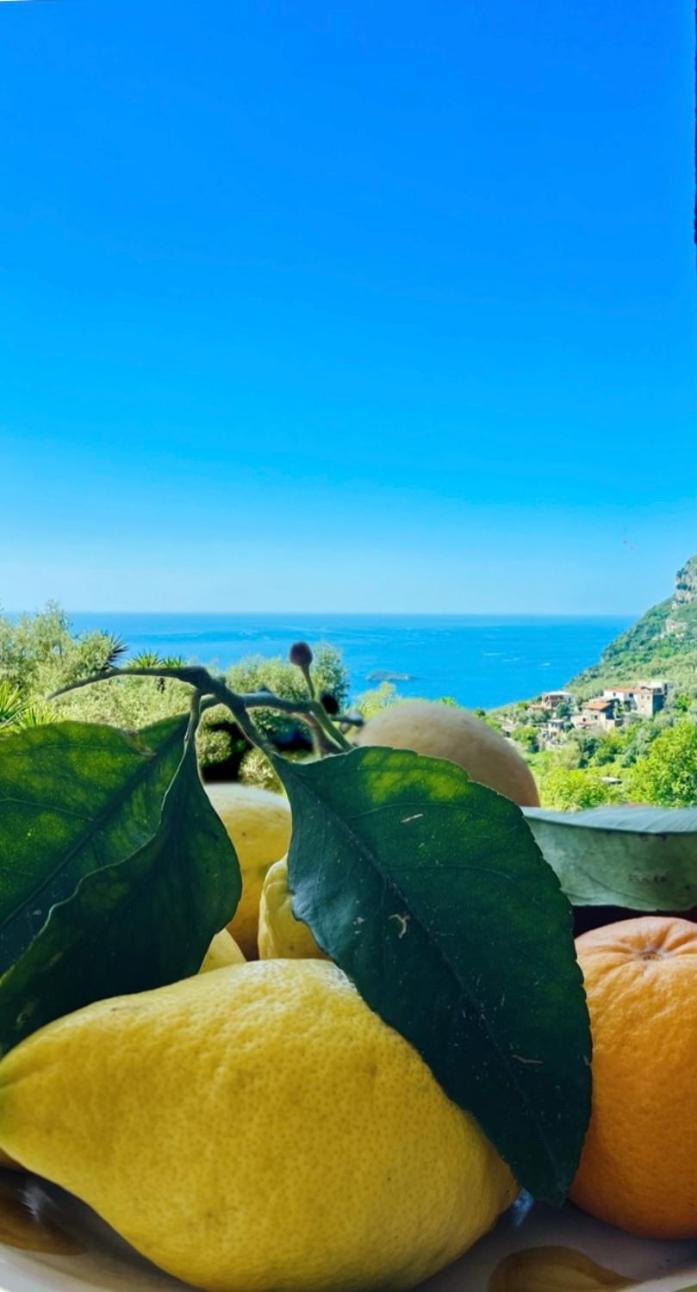 Wanderlust Βίλα Πιάνο ντι Σορέντο Εξωτερικό φωτογραφία